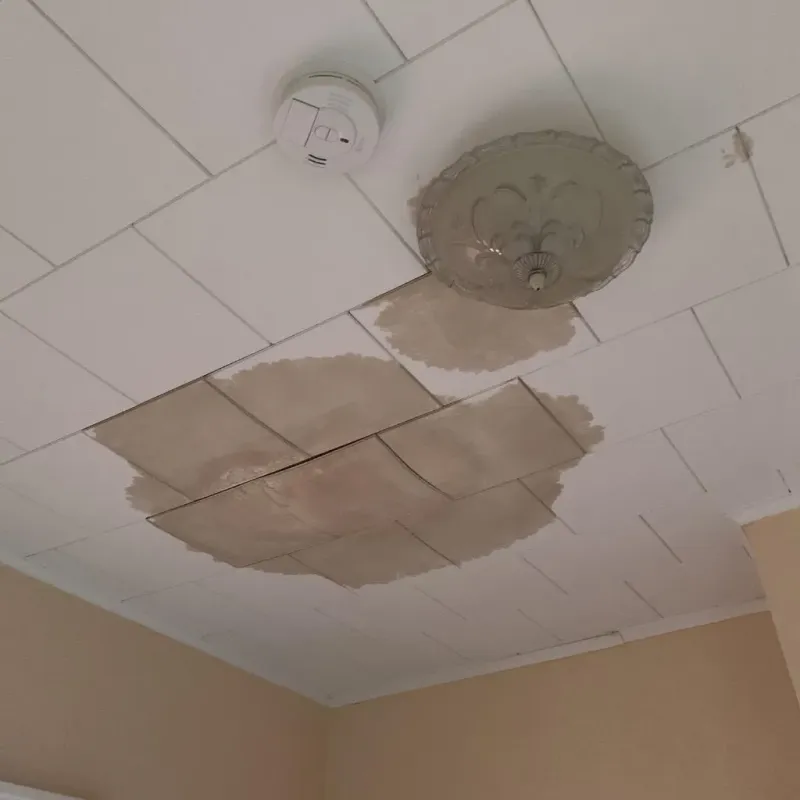 Ceiling Water Damage Repair in Ball, LA