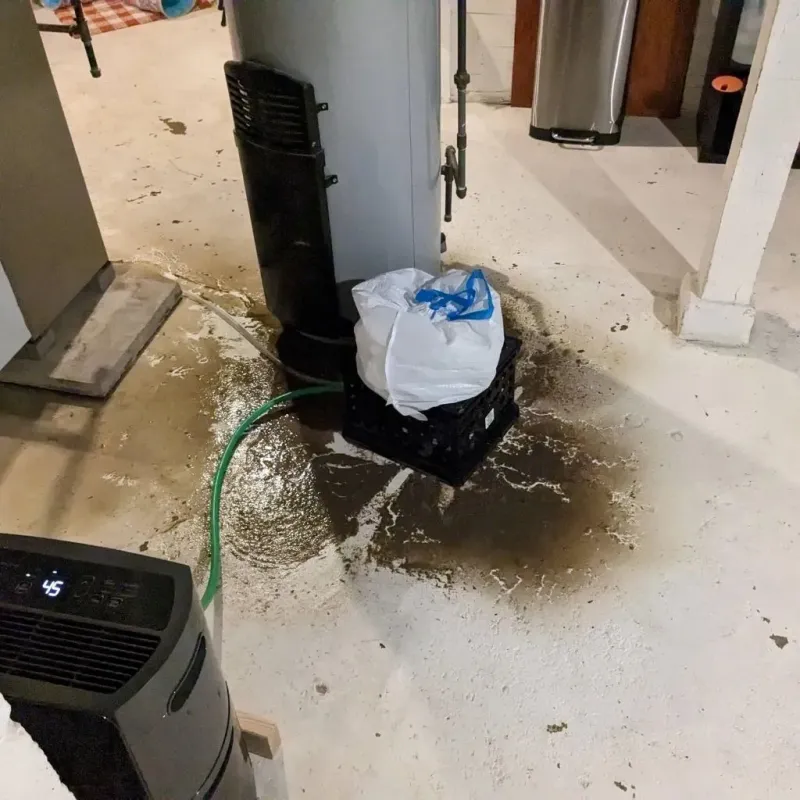 Sewage Backup Cleanup Service in Ball, LA